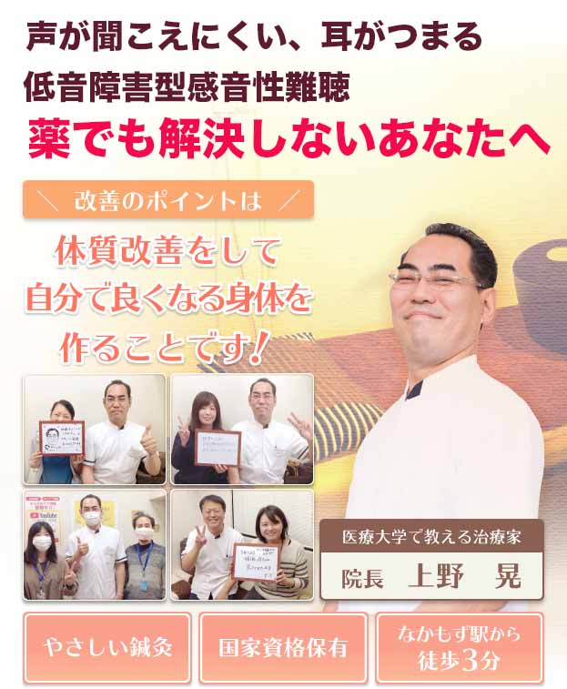 低音障害型感音性難聴